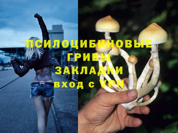 стафф Белоозёрский