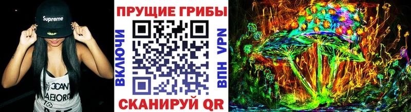 Купить где  Завитинск  Псилоцибиновые грибы Psilocybine cubensis 